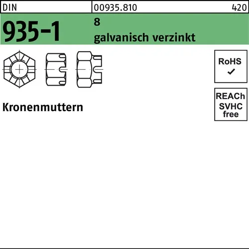 Kronenmutter DIN 935-1 M12 SW 19 8 galv.verz. 100 Stück