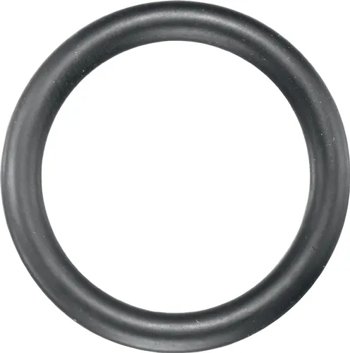 Gummisicherungsring 740 GR AD ca.38mm ASW