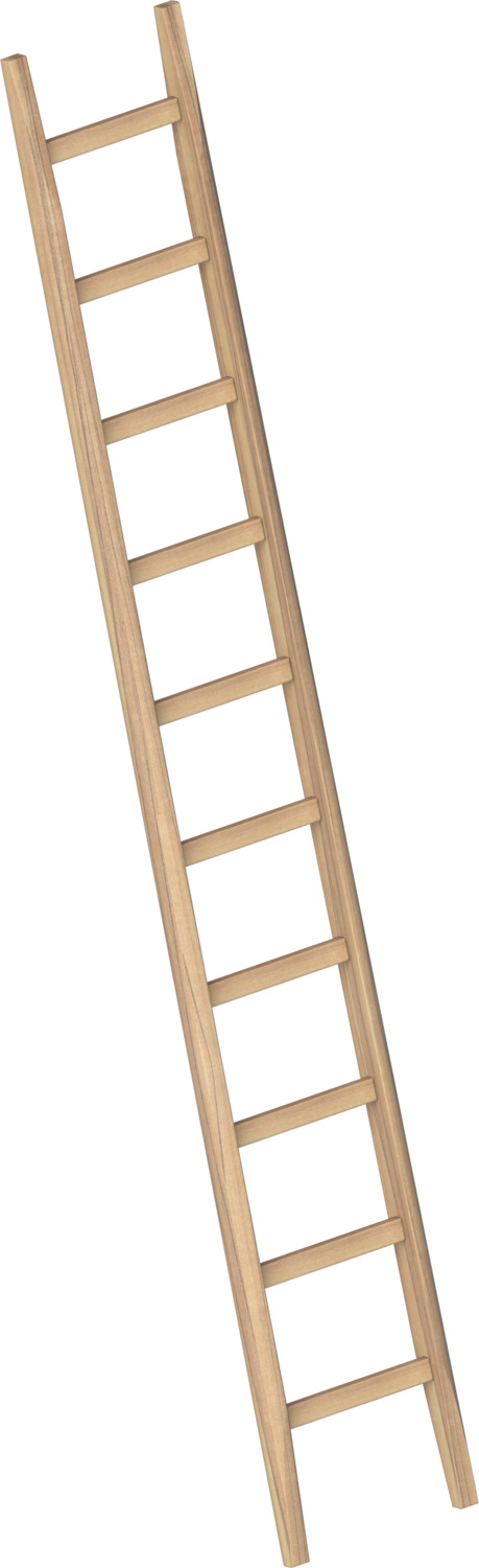 Layher Bau-Holzanlegeleiter 1036