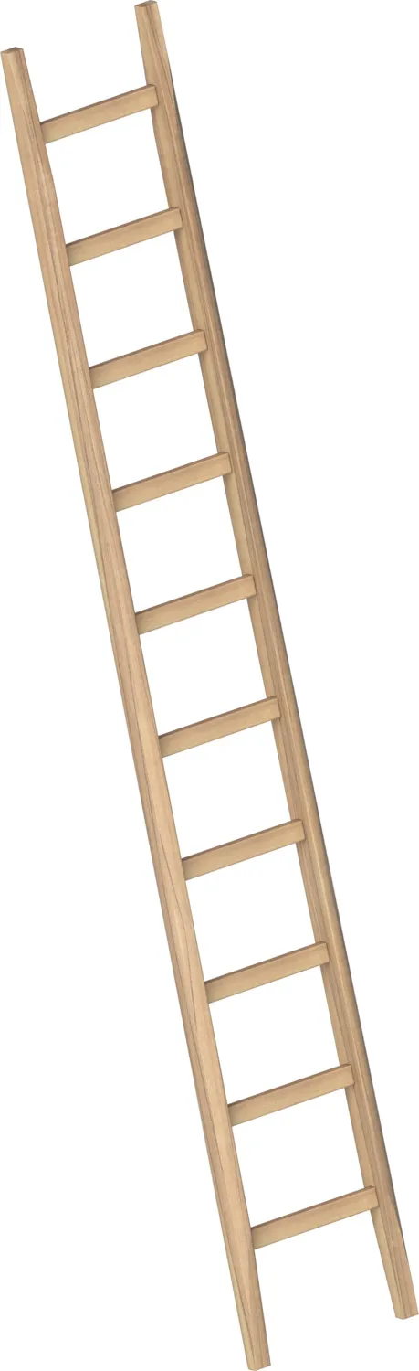 Layher Bau-Holzanlegeleiter 1036