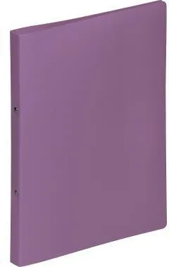 PAGNA Ringbuch 20901-12 A4 2Ringe lila