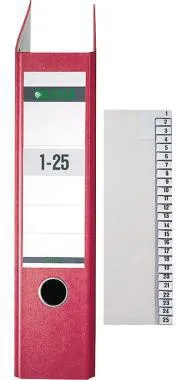 Leitz Registerserie 13810085 1-25 DIN A4 21,2x24cm 25Bl. Papier grau