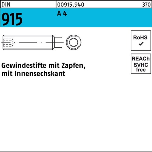 Gewindestift DIN 915 Zapfen/Innen-6kt M6x 6 A 4 500 Stück