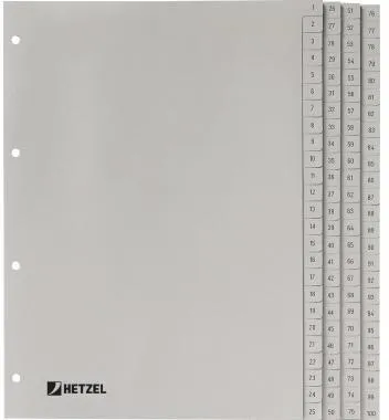 Hetzel Register 721311 DIN A4 1-100 100-teilig PP grau