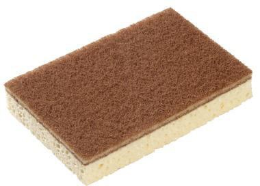 Spontex Schwamm Sponrex 100 10St.