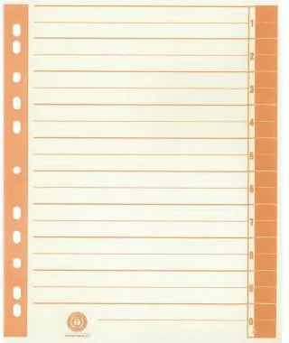 Trennblatt RC Karton 9541106100 A4 chamois/orange 100 St./Pack.