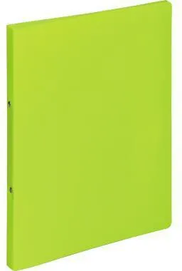 PAGNA Ringbuch 20901-17 A4 2Ringe lindgrün