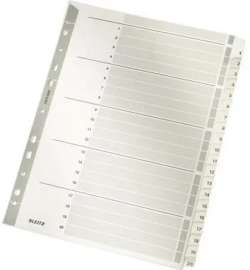 Leitz Register 43260000 DIN A4 1-20 volle Höhe 160g Karton grau