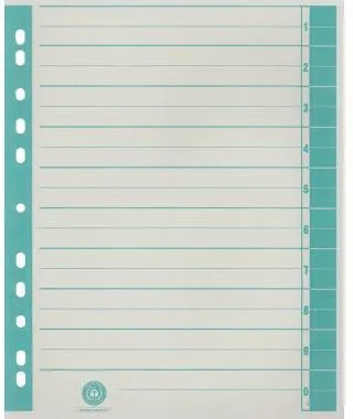 Trennblatt RC Karton 9541101100 A4 chamois/grün 100 St./Pack.