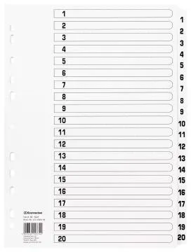 Soennecken Register Mylar 1607 1-20 weiß