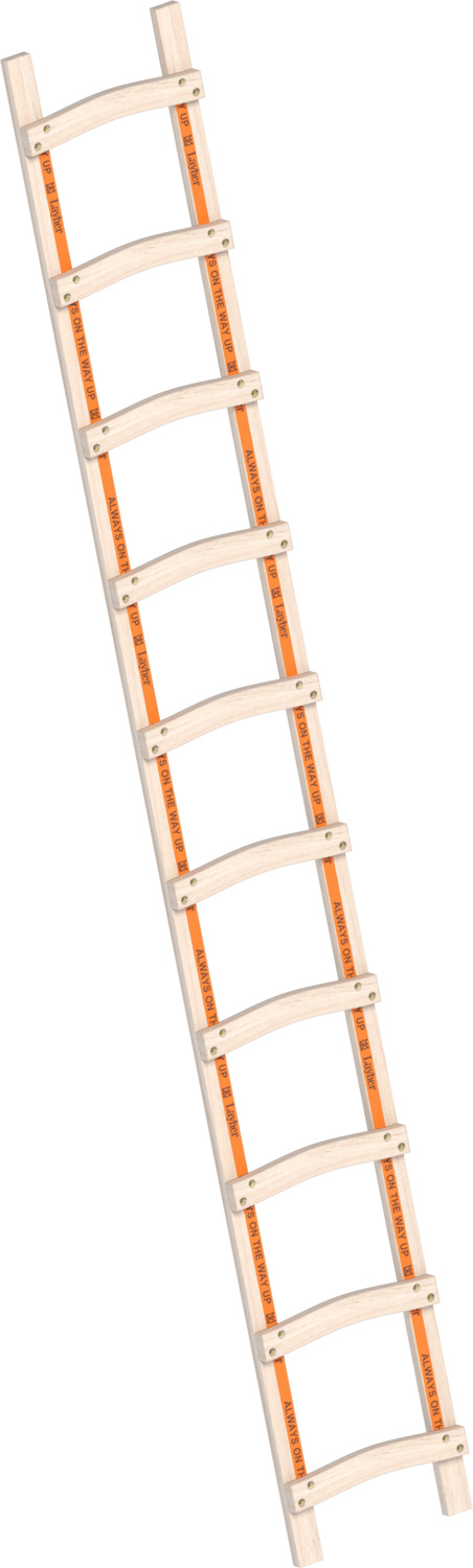 Layher Holzdachdeckerleiter 1046