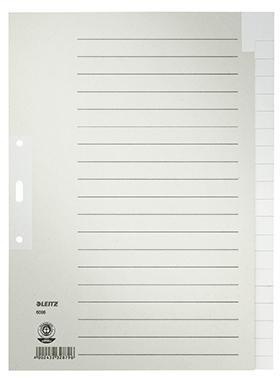 Leitz Register 60960085 blanko DIN A4 Tauenpapier grau