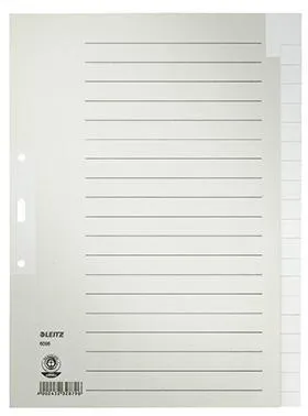 Leitz Register 60960085 blanko DIN A4 Tauenpapier grau