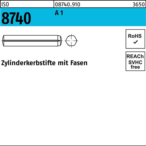 Zylinderkerbstift ISO 8740 Fasen 3x 30 A 1 100 Stück