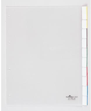 DURABLE Register 683119 245x297cm 10teilig Hartfolie tr
