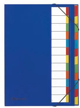 PAGNA Ordnungsmappe Deskorganizer 44133-02 DIN A4 12Fächer blau