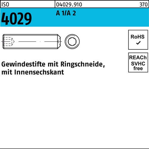 Gewindestift ISO 4029 Ringschneide/Innen-6kt M5x 6 A 2 500 Stück