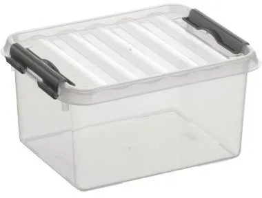 Sunware Aufbewahrungsbox Q-line H6162402 2l transparent