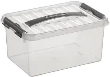 Sunware Aufbewahrungsbox H6160102 6l 300x200x140mm transparent