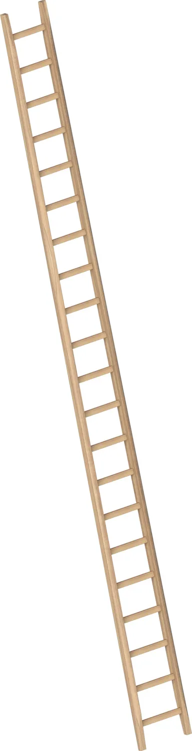 Layher Bau-Holzanlegeleiter 1036 21 Sprossen