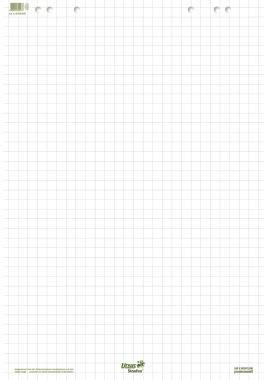 Ursus Staufen Flipchartblock Green 608580020 68x99cm 20Bl. kariert