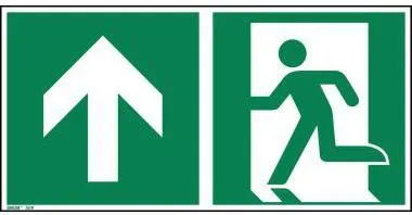 Hinweisschild Notausgang geradeaus ISO 7010 300x150mm PVC