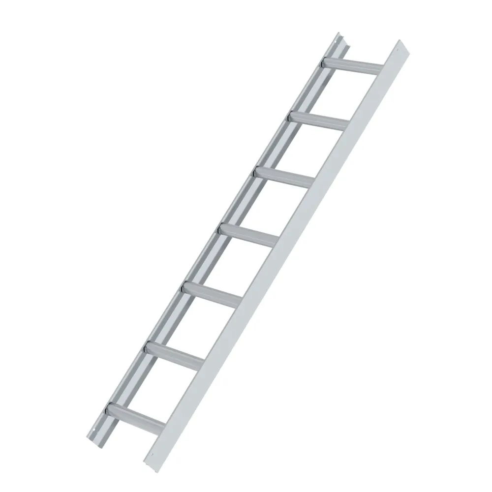MUNK Dachleiter