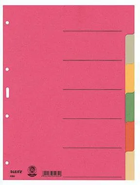 Leitz Register 43580000 blanko DIN A4 Karton farbig sortiert