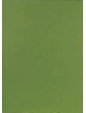 Falken Aktendeckel 80001167 23x31,8cm 250g gn 100 St./Pack.
