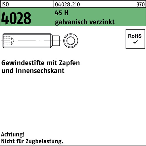 Gewindestift ISO 4028 Zapfen/Innen-6kt M5x6 45 H galv.verz. 1000St.