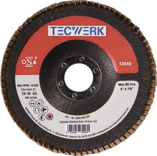 TECWERK Fächerscheibe Aluminium Siliciumcarbid 