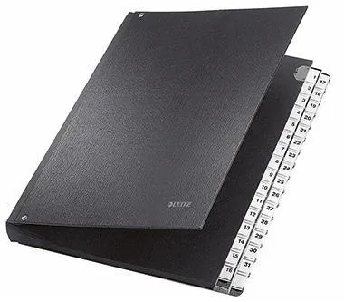 Leitz Pultordner 59310095 DIN A4 1-31 32Fächer Graupappe schwarz