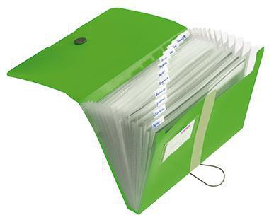 Herlitz Fächermappe easy orga to go 11209517 A4 12Fächer PP apfel