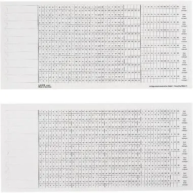 Leitz Organisationsstreifen 61610001 S1/2ws 100 St./Pack.