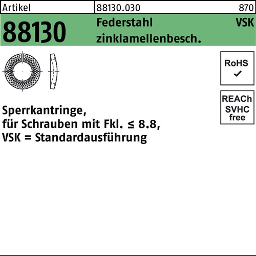 Sperrkantring R 88130 VSK 12x21,1x2,1 Federstahl zinklamellenb. 500St.