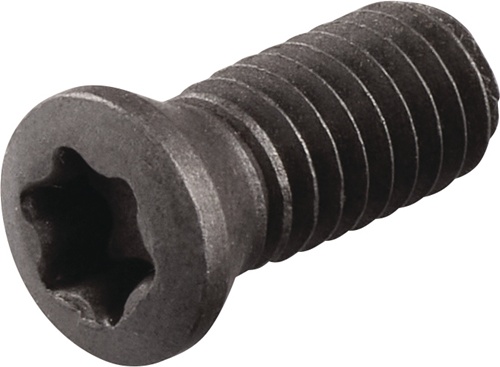 TECWERK Spannschraube WS0620-S4