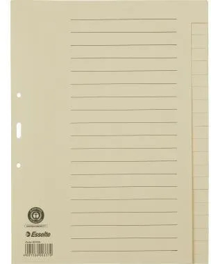 Esselte Register 621006 blanko DIN A4 20Bl. Papier chamois