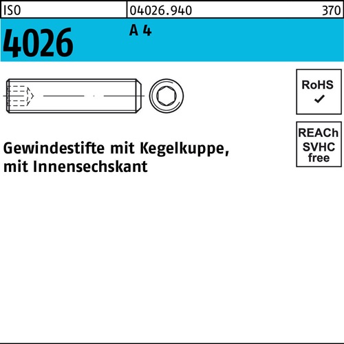 Gewindestift ISO 4026 Kegelkuppe/Innen-6kt M10x 12 A 4 100 Stück