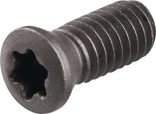 TECWERK Spannschraube WS0410 Gr.T15