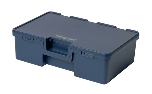 Transportkoffer B.570xT.370xH.170mm f.Vorhängeschloss geeignet Solid 3