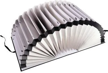Exacompta Fächermappe 61650B 1-31 DIN A4 schwarz