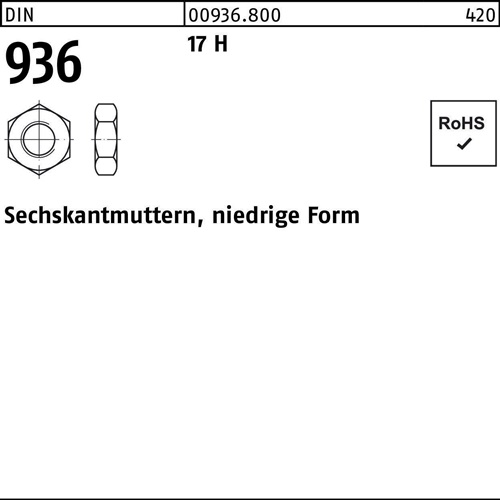Sechskantmutter DIN 936 M10 17 H 500 Stück