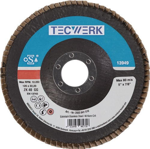 TECWERK Fächerscheibe INOX Zirkonkorund 
