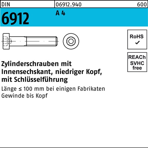 Zylinderschraube DIN 6912 Innen-6kt M10x 100 A 4 50 Stück