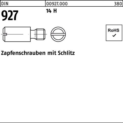 Zapfenschraube DIN 927 m.Schlitz 14 H 100 Stück