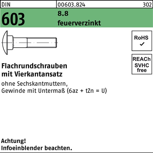 Flachrundschraube DIN 603 Vierkantansatz M10x 40 8.8 feuerverz. 100 Stück