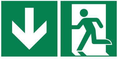 Hinweisschild Notausgang 30x15cm Hart-PVC