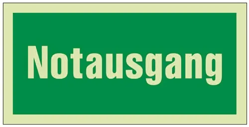 Rettungszeichen BGV A8 L297xB148mm Notausgang grün/weiß Ku.