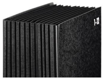 PAGNA Pultordner 24121-04 DIN A4 1-12/Jan-Dez 12Fächer Hartpappe sw