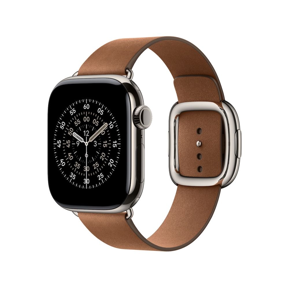 Apple Armband mit moderner Schließe, Braun, 42mm (Series 10/11/12), Large